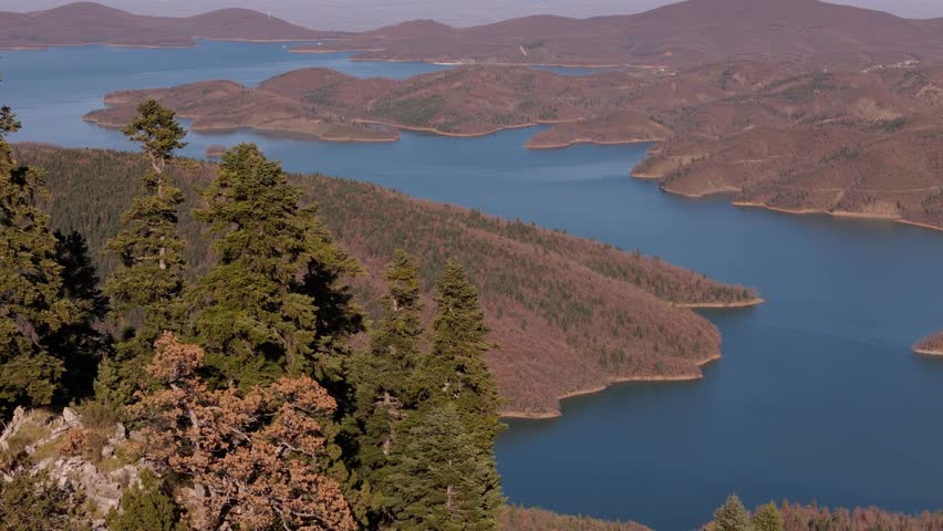 Drone push past coniferous trees to open air space above Lake Kerkini Agrafa Greece