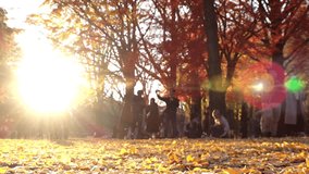 TOKYO, JAPAN - DECEMBER 2023 : View of orange and yellow Autumn leaves and trees at Yoyogi park in sunset. Japanese fall, foliage and nature concept video. Slow motion shot.