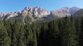 Flying between trees with the Italian Alps in the background. Cima Tosa 4K Drone Showcase.