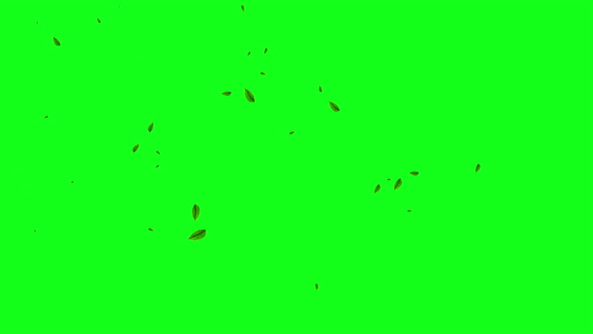 Leaves falling animation on green screen 4k. leaf falling. chroma key background Royalty-Free Stock Footage #3447821177