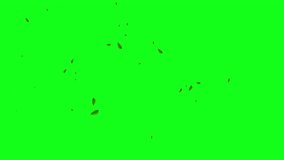Leaves falling animation on green screen 4k. leaf falling. chroma key background - Powered by Shutterstock - Get 15% off with code: PIKWIZARD15