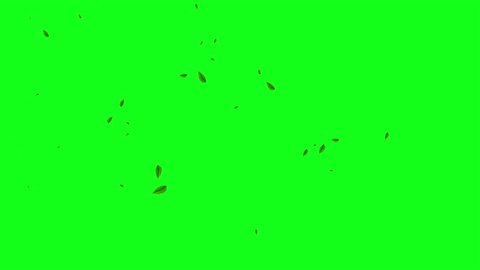 Leaves falling animation on green screen 4k. leaf falling. chroma key background Arkistovideo
