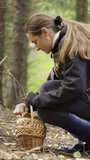 A young woman in a camouflage jacket walks through the woods with a basket. Looking for mushrooms. Vertical video.