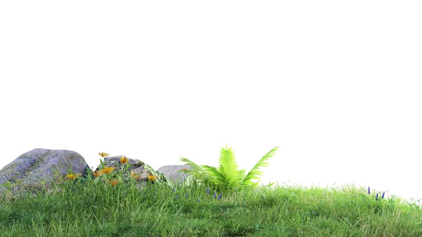 grass field with rock stone on white background, 3d illustration rendering 