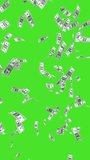 100 Dollar Bills Green Screen. Rain Effects. 3D Animation Money Rain, business animation Money, effects production background. Vertical video.