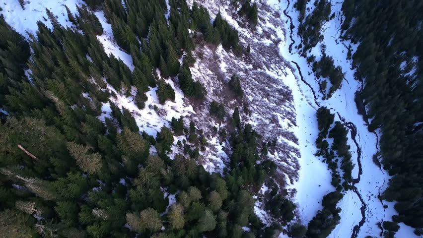 Morning light illuminates Mount St. Helens as it rises from the lush forests of Washington. Not far from both Seattle and Portland, this scenic and active stratovolcano last erupted on May 18, 1980.