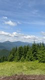 Blue mountains, green valley. Panoramic view of Ukrainian mountains in summer day. Carpathian, Ukraine, Europe. Mountain tourism. Tourism and travel concept. Vertical video