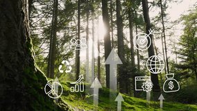 Finance and business concept. Net zero emission concept.Investment graph and rows growth of coins. Concept of investing and financial management. 4K - Powered by Shutterstock - Get 15% off with code: PIKWIZARD15