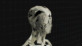 Faceless Entity Portrait - Artificial Intelligence Face Digital Technology Human Mind Host Person Fiction 3D Animation Render - Powered by Shutterstock - Get 15% off with code: PIKWIZARD15