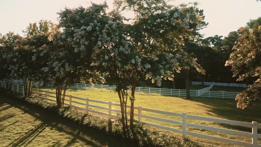 Golden hour sunlight along farmhouse property garden