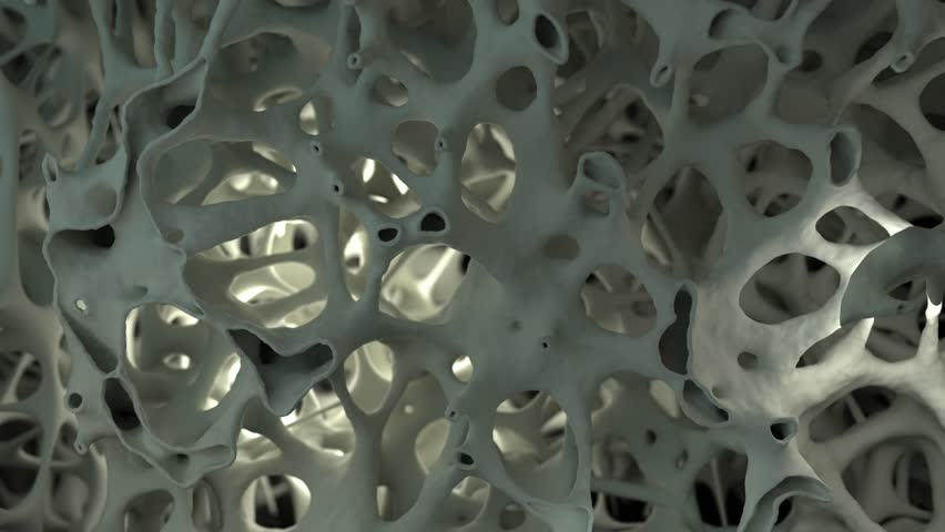 Macro close-up of the regrowing structure. Reconstruction of bones or other biological organs. Realistic 3D animation.