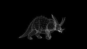 4k neon walking loop Triceratops Dinosaur animation, 3D white wireframe Dinosaur walk animation, a large quadrupedal herbivorous dinosaur living at the end of the Cretaceous period