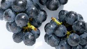 Shot in 4K video with a slow moving camera washing large grapes.
4K 120fps edited to 30fps.