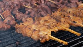 Street food barbecue pork on the grill Video