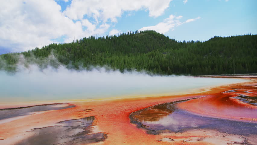 A vibrant geothermal pool in Yellowstone steams against a backdrop of dense forest under a clear blue sky, showcasing nature's palette. Yellowstone National Park. Wyoming. USA. Slow Motion, 4K RAW.  Royalty-Free Stock Footage #3448482831
