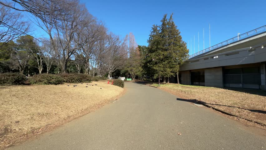Komazawa Park in Japan 2024