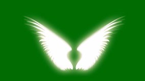 Angel wings top quality animated green screen 4k , 3D Animation, Ultra High Definition, 4k video Premium Quality