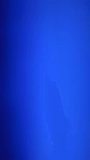 Blue dark color smoorh flowing energy abstract vertical video, sstkVertical, sstkBackgrounds