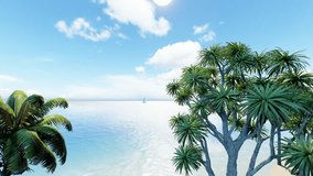 Palm and tropical beach. The best beaches in the world. Loop video sunny beach. Perfect sky and water of ocean. Travel, holdiay, summer concept.