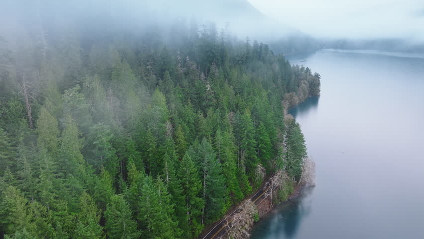 Aerial cinematic evergreen forest road in Olympic National park. Mysterious fog covering rainforest Washington. Tall green spruce pines in mist. Scenic route along beautiful lake Crescent on foggy day