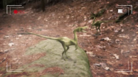 Small dinosaurs are filmed through a video camera interface