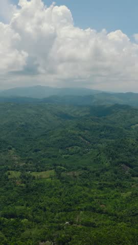Fresh green foliage, tropical plants and trees covers mountains and ravine. Mindanao, Philippines. Vertical video.
