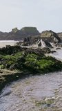 Water streams between rocky formations covered in greenery under a clear sky. Vertical video. pano