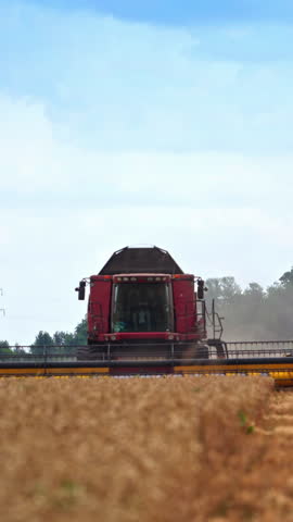 Combine harvester cutting wheat in the dry field. Harvesting machine working in plantation on summer day leaving the dusty cloud. Vertical video. Royalty-Free Stock Footage #3448993197