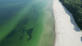 Incredible aerial videos showcasing the beauty of the Baltic Sea in Poland. The deep green forests and pristine white sand create a magnificent spectacle, ideal for content creators and business ideas