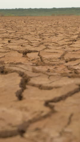 CLOSE UP: Big surface of cracked soil caused by long draught. Brown desiccated landscape with ground cracks and no vegetation. Dry land with crack pattern caused by lack of water. Royalty-Free Stock Footage #3449015247