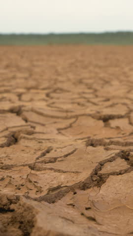 CLOSE UP: Big surface of cracked soil caused by long draught. Brown desiccated landscape with ground cracks and no vegetation. Dry land with crack pattern caused by lack of water. Royalty-Free Stock Footage #3449015389