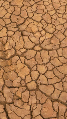 AERIAL TOP DOWN: Aerial top down view of cracked land caused by long draught. Brown desiccated soil with ground cracks and no vegetation. Dry landscape with crack pattern caused by lack of water. Royalty-Free Stock Footage #3449016187
