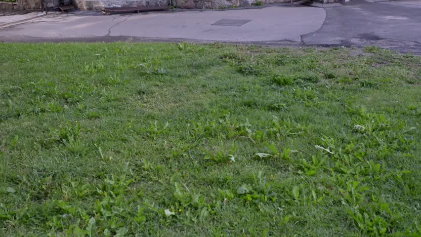 Church of Saints Simon and Helena also known as Red Church is Roman Catholic church on Independence Square in Minsk, Belarus. 