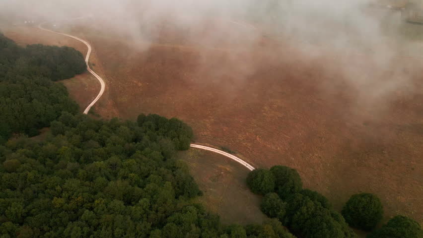 Winding Dirt Road Passing By Fields And Pine Tree Forest On A Foggy Morning In Tuscany, Italy. - aerial