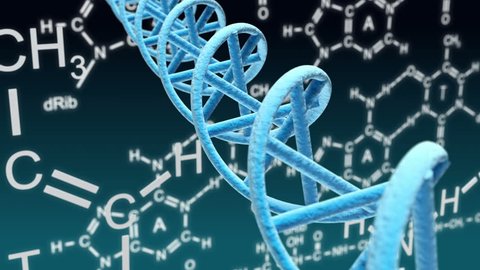Химические соединения днк. ДНК химия. ДНК формула. Химическая ДНК. ДНК формула химическая.
