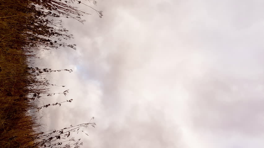 Vertical video. Clouds over dry grass. Fisheye lens Time Lapse