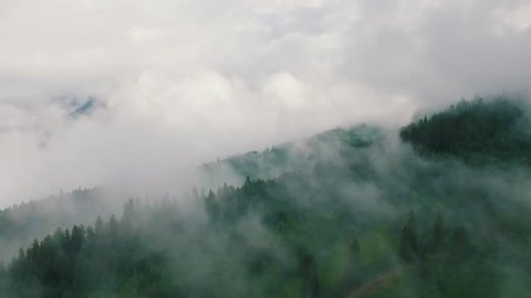 Aerial view flying over a foggy redwood forest in the hills of Georgia