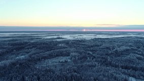 Frozen landscape and coniferous forest with sunset on horizon. Aerial backward. Sky for copy space