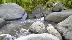 clean water flow in a rocky river