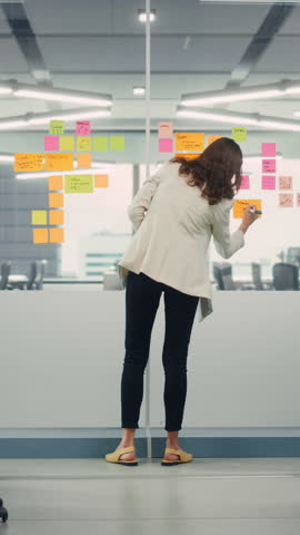 Shutterstock Video