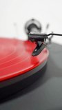 Vertical video – Closeup of a hand lowering the needle or stylus onto the grooves of a red vinyl LP record, on a spinning turntable, at the start of the first music track.