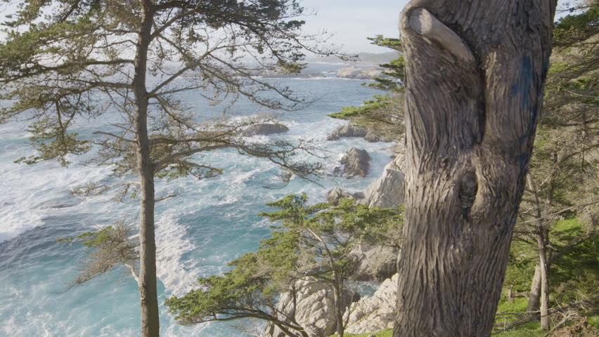slow motion shot through trees on the mountainside in Big Sur California with calming waves rolling through the Pacific Ocean. Royalty-Free Stock Footage #3449622455