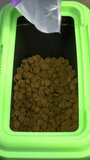 Vertical video – Closeup of hard, crunchy, dog kibble being poured from a complete food product sack into a plastic storage bin.