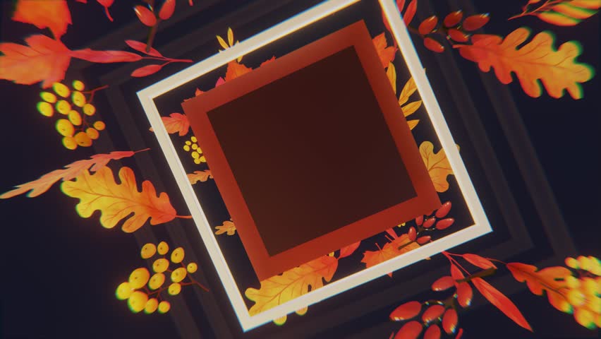 Shutterstock Video
