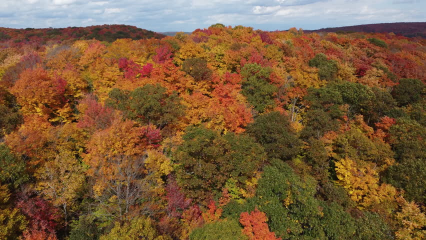 Drone flyover wild forest densely covered with beautiful autumn trees in various deciduous vegetations, capturing natural landscape of Algonquin Provincial Park, Muskoka Region, Ontario, Canada.