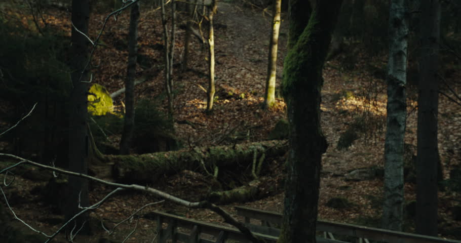 Gravel cyclist run up hill in forest pushing the bike on steep path. Adventure cyclocross training or cycling in nature. Cinematic cycling concept
