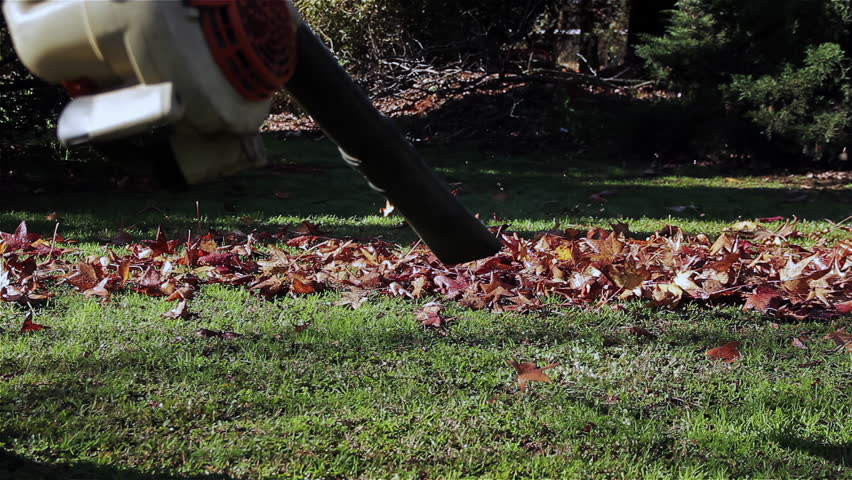 A Gardener Cleaning Fallen Leaves using a Leaf Blower. Close-Up. Ground Level View. 4K Resolution. Royalty-Free Stock Footage #3449836057