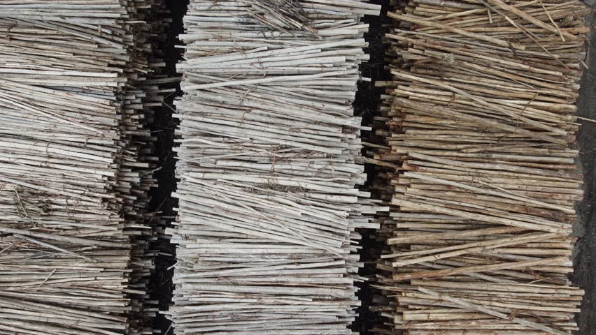 Aerial view of eucalyptus wood logs for the production of paper and cellulose in a brazilian industry in suzano, são paulo, brazil Royalty-Free Stock Footage #3449892567