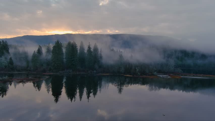 Fog Covered Trees by the Lake in Valley by Mountains. Canadian Nature Landscape. Aerial View, Background. Vancouver Island, BC Canada.