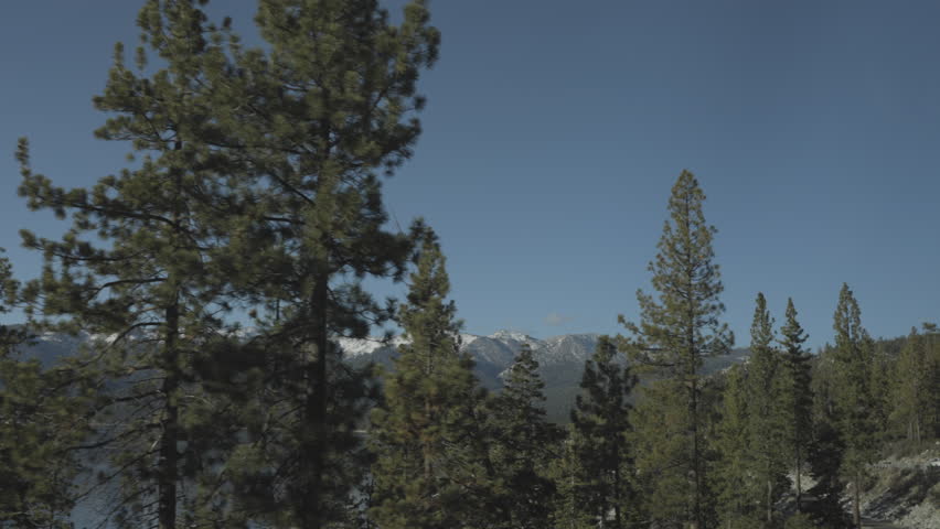 Douglas Fir trees in front of Lake Tahoe with mountains beyond all drift by the driver side window on a beautiful day.